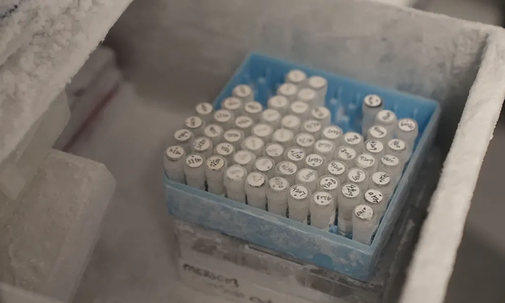 Anh thử nghiệm vaccine ngừa Ebola mới