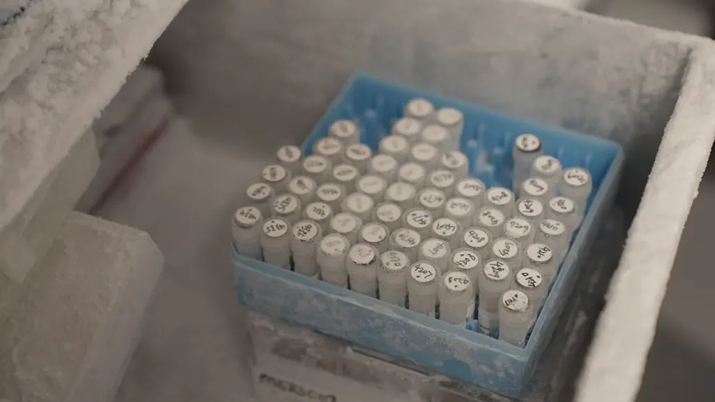 Anh thử nghiệm vaccine ngừa Ebola mới