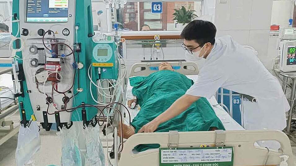 Ăn mật cá trắm bồi bổ, người đàn ông suy đa tạng phải lọc máu