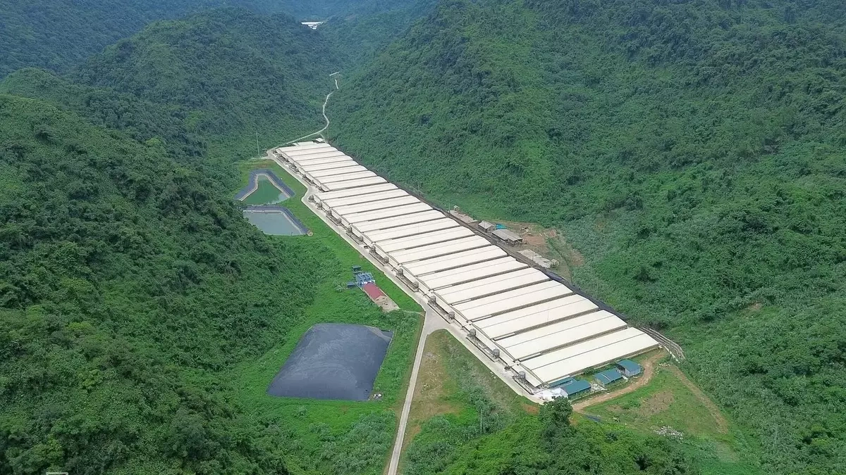 Sát thủ 'trứng thối' trong không gian kín gây cái chết nhanh thế nào