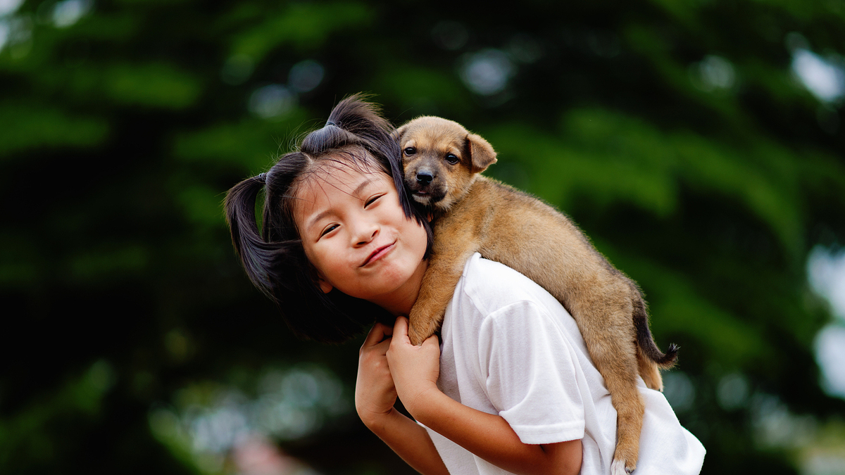 Nhiễm bệnh từ chó do 4 thói quen thường ngày
