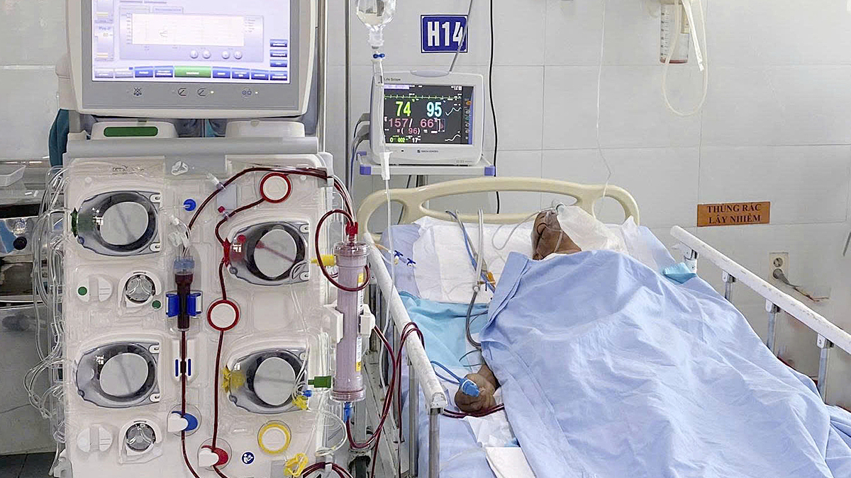 Cụ ông 98 tuổi bị ong vò vẽ đốt tổn thương đa cơ quan