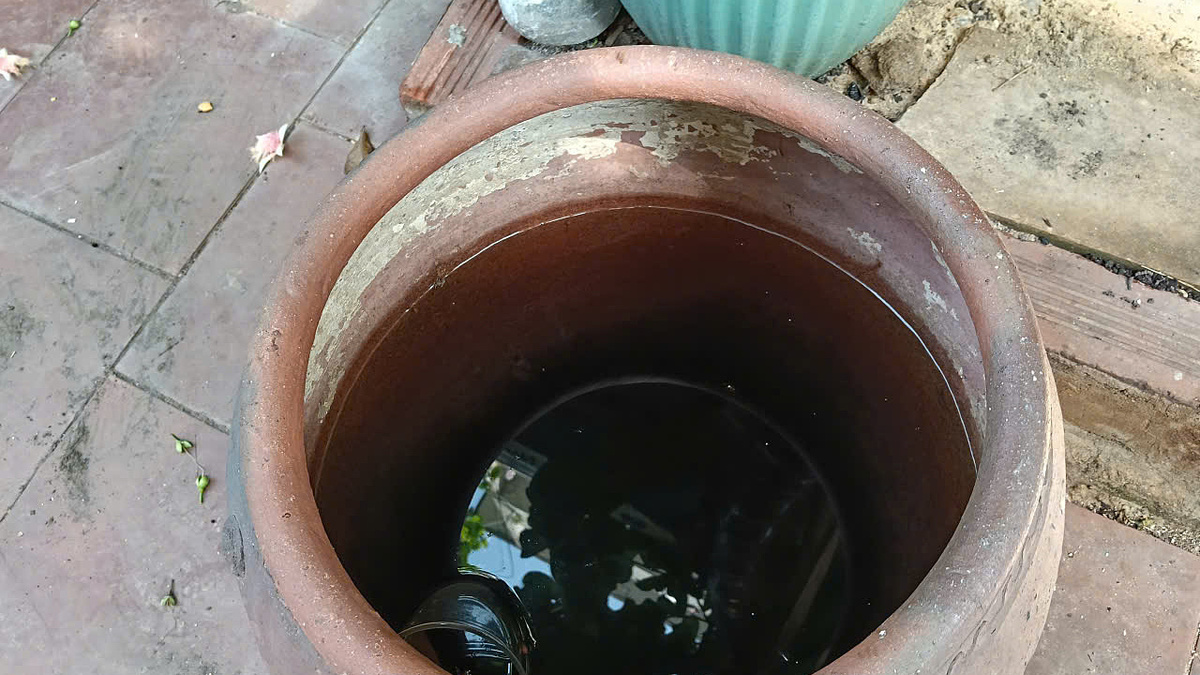Sợ tái mắc sốt xuất huyết