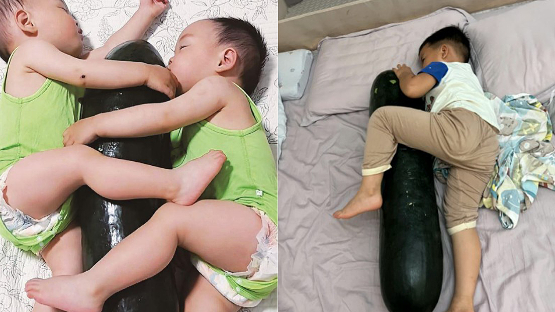 Chuyên gia cảnh báo hiểm họa biến bí đao thành gối ôm làm mát