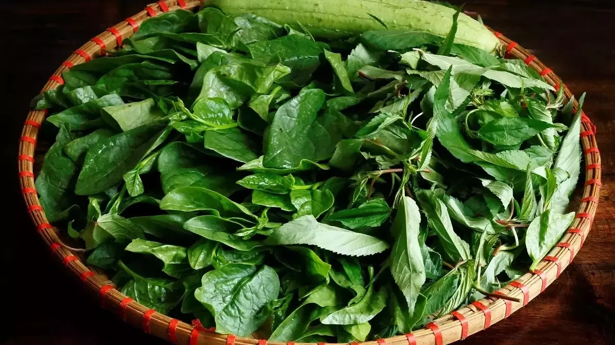 Các loại thực phẩm người trên 40 tuổi nên ăn thường xuyên