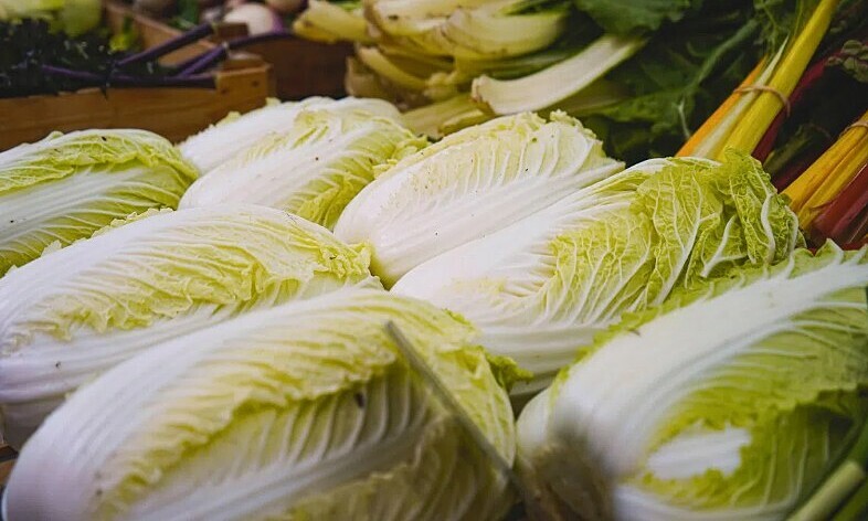 Cải thảo ngâm hóa chất gây ung thư phơi bày 'lỗ hổng' quản lý thực phẩm