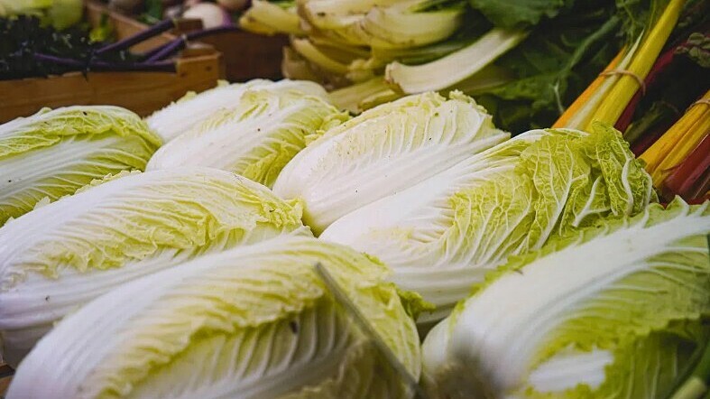 Cải thảo ngâm hóa chất gây ung thư phơi bày lỗ hổng quản lý thực phẩm