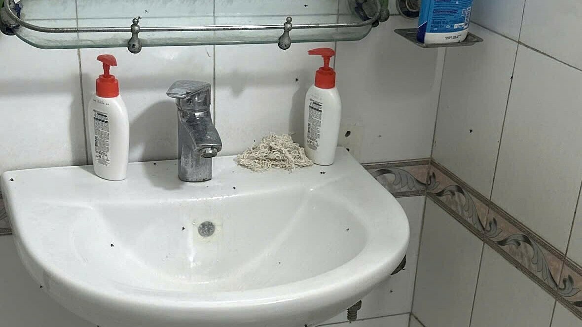 Sợ lây bệnh khi ở ghép