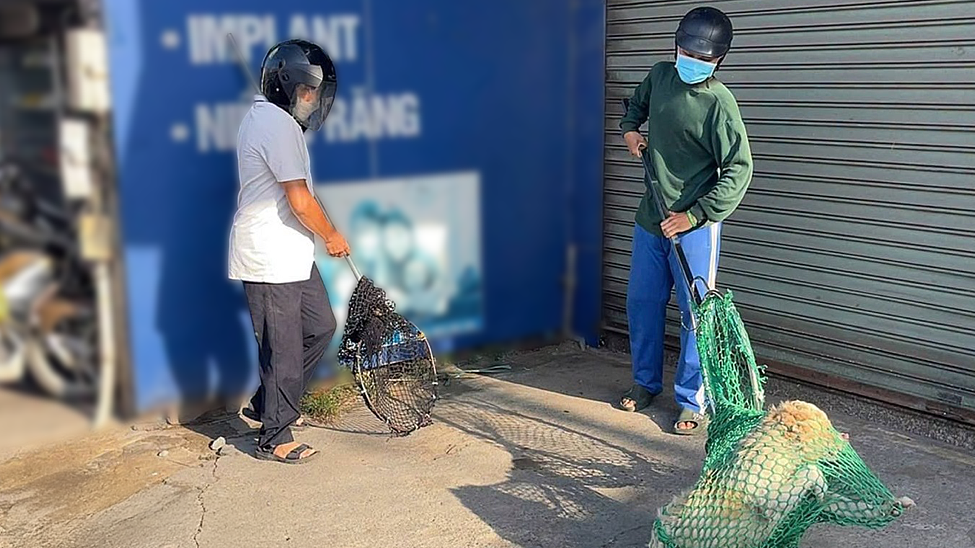 Bị phạt vì cho chó không rọ mõm ra đường 10 m