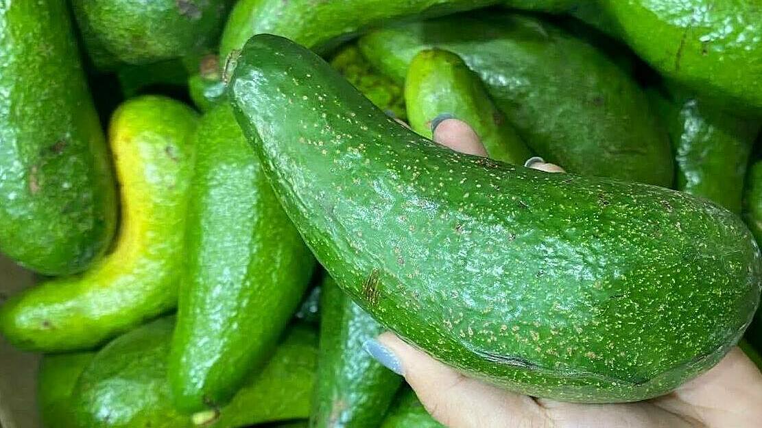 Điều gì xảy ra với não khi bạn không ăn chất béo?