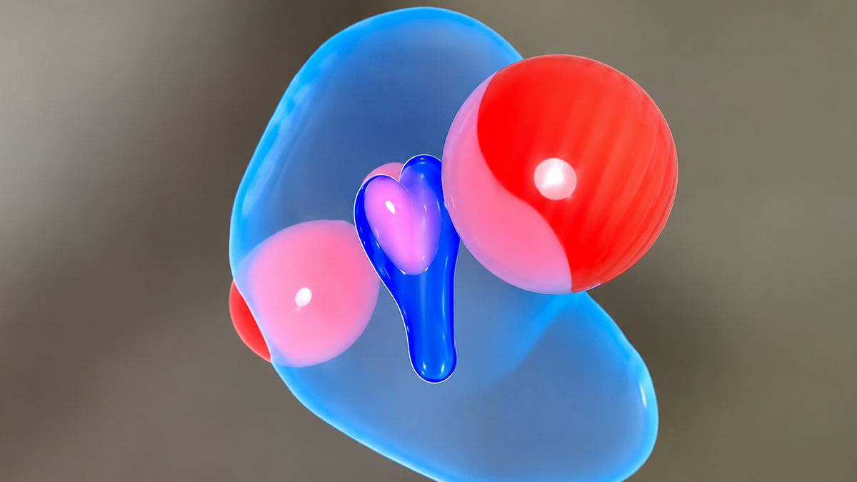 Dựng bản đồ tử cung 3D để chữa vô sinh
