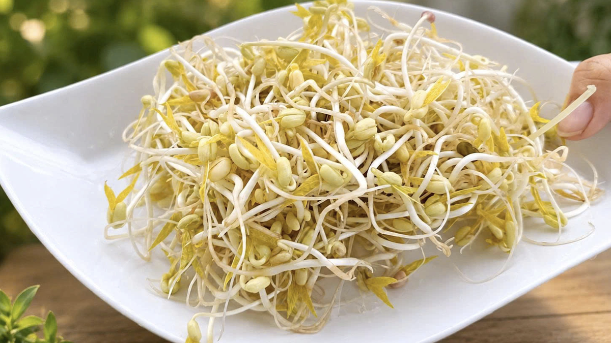 Giá đỗ - món ăn bình dân giúp hạ đường huyết, phòng ngừa bệnh tật