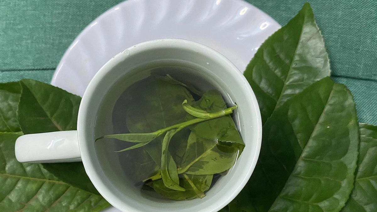 Chuyên gia gợi ý thức uống buổi sáng tốt cho thận