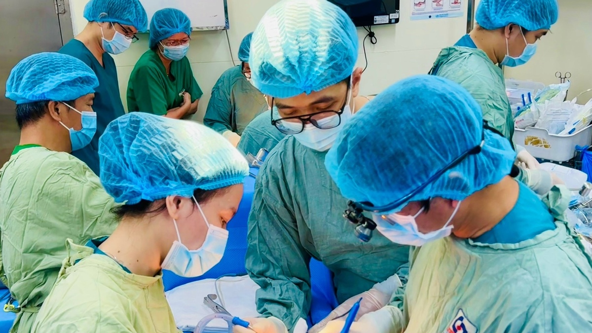 Những bóng hồng cầm dao mổ